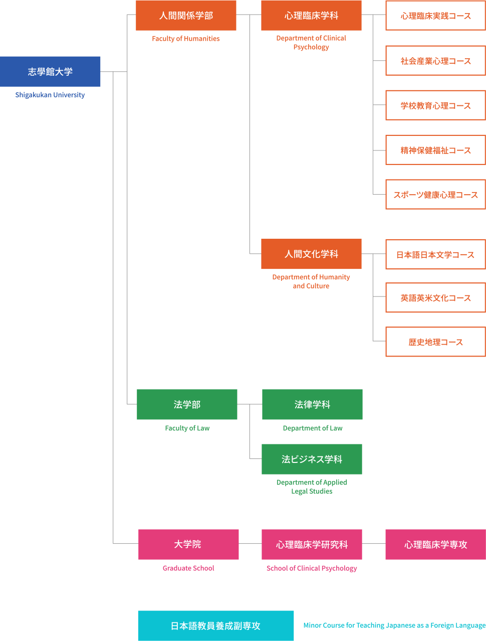 学科・学部の構成