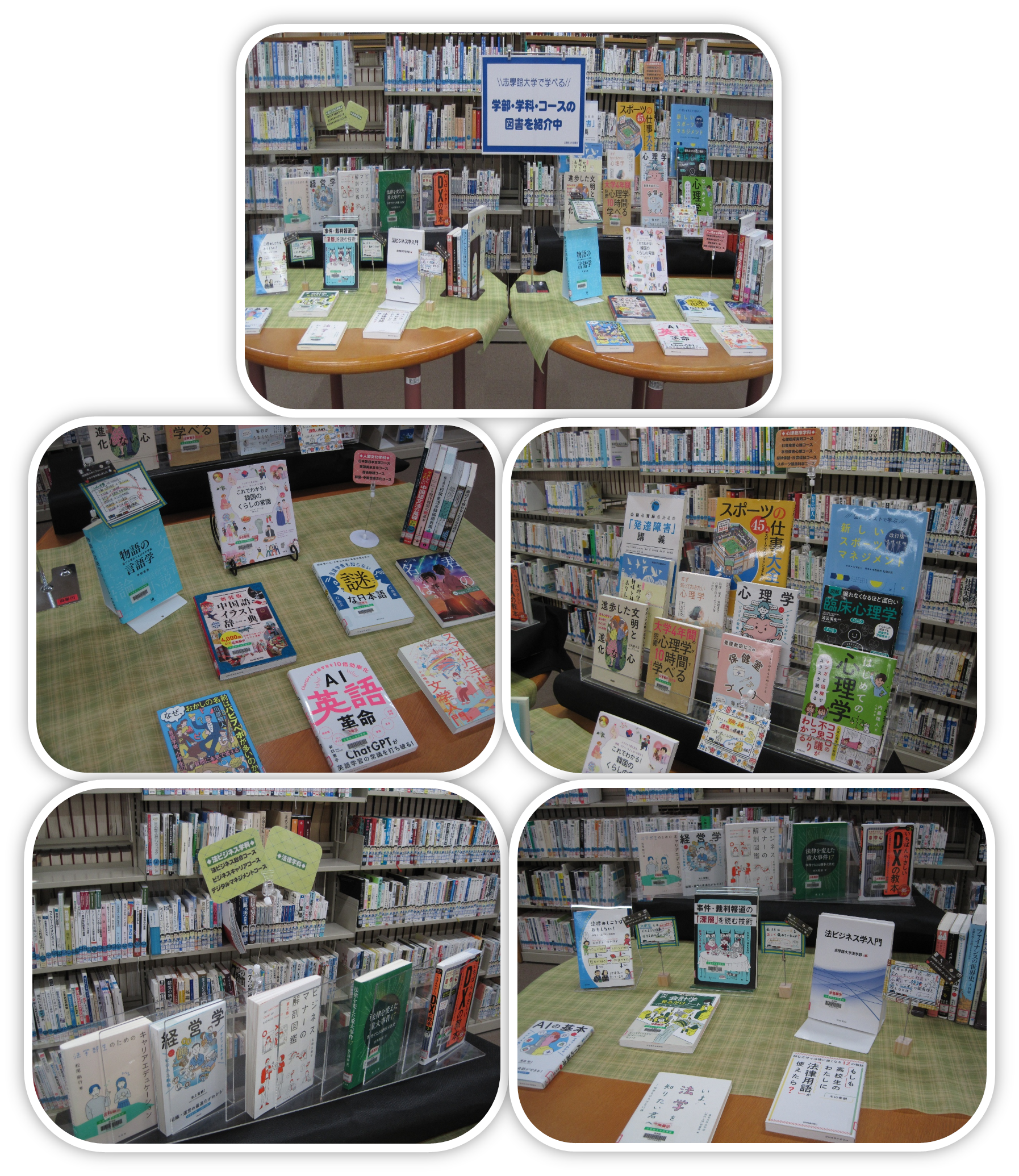 【展示】志學館大学で学べる学部・学科・コースの関連図書：サムネイル画像